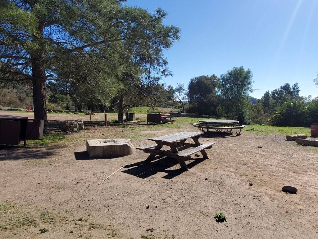Black Jack site BJ07: picnic table, fire ring and food locker under pines