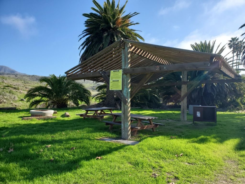Little Harbor site LH02: shade ramada over picnic tables on grass, palms behind