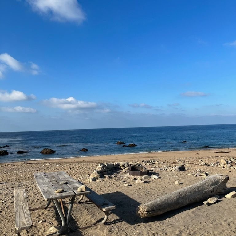 Parsons Landing site PL04: picnic table and fire ring on the sand facing the ocean